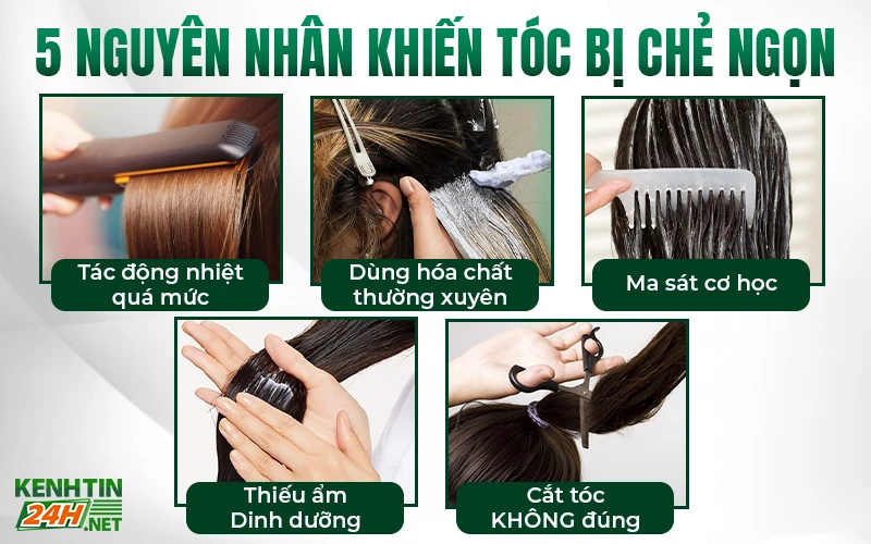 5 Nguyên nhân khiến tóc bị chẻ ngọn