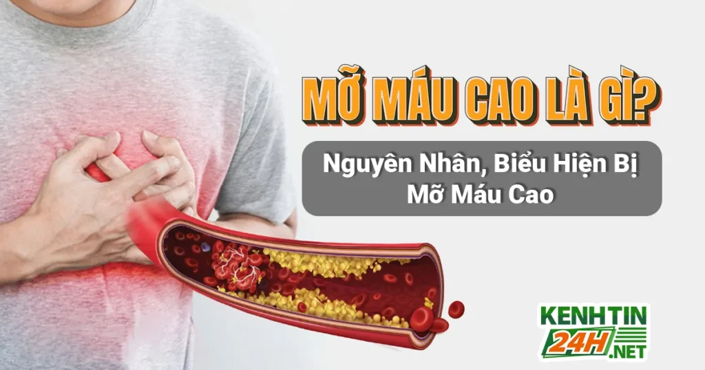 Mỡ máu cao