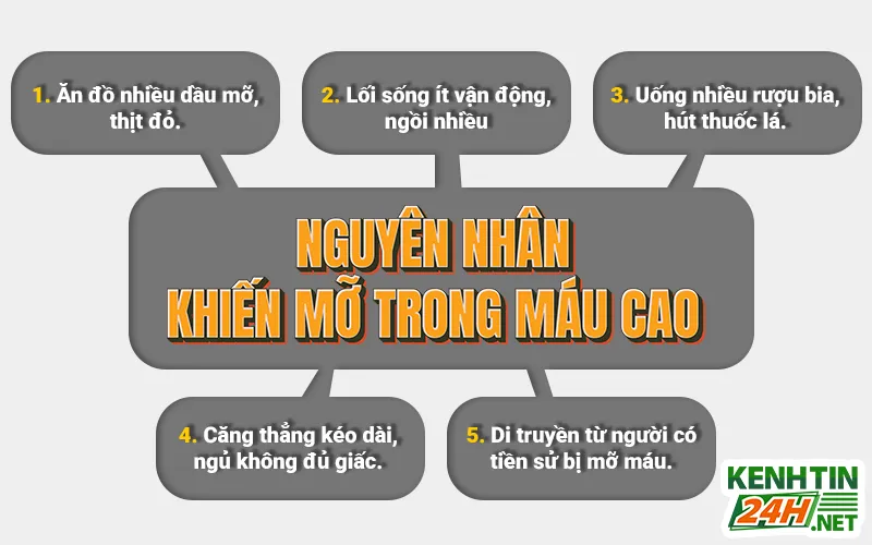 Nguyên nhân gây mỡ máu cao