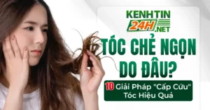 tóc chẻ ngọn