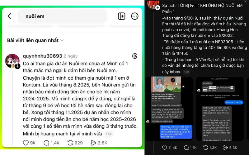 Tranh Cãi về Dự án Nuôi Em