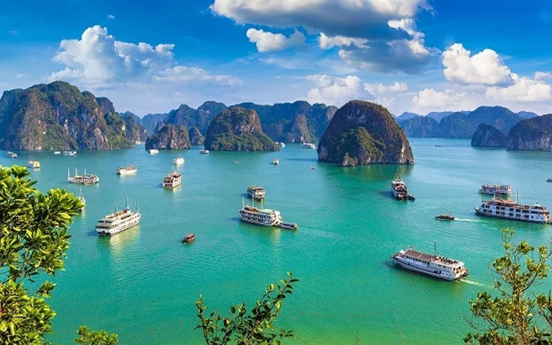 Toàn cảnh vịnh Hạ Long