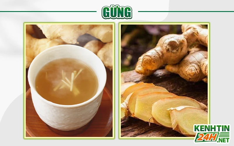 Thực phẩm tốt cho dạ dày - Gừng