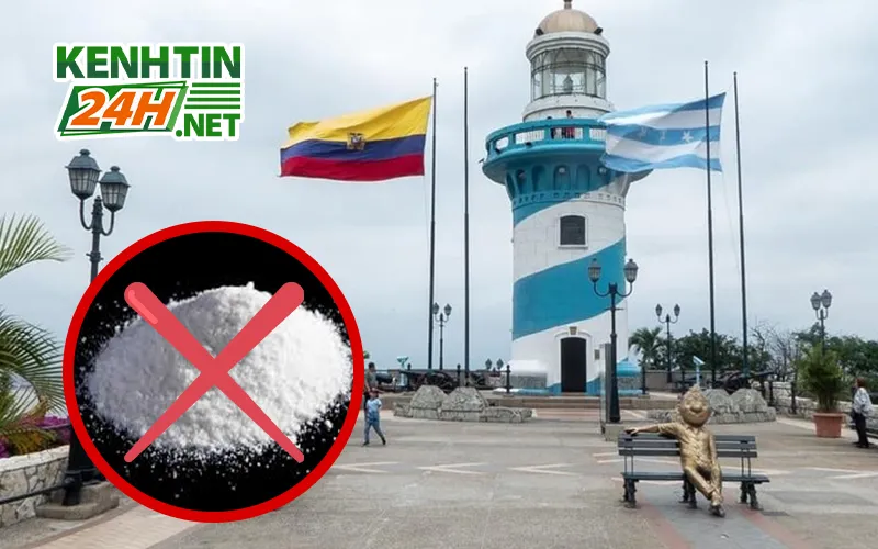Buôn Bán Ma Túy Tại Ecuador