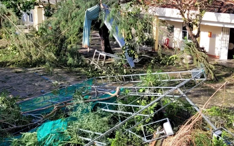 Sự thiệt hại về người và tài sản rất lớn