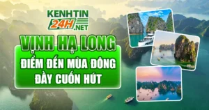 Vịnh Hạ Long