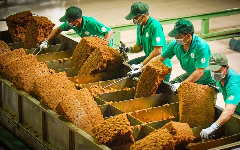 Cải tiến trong lĩnh vực chế biến