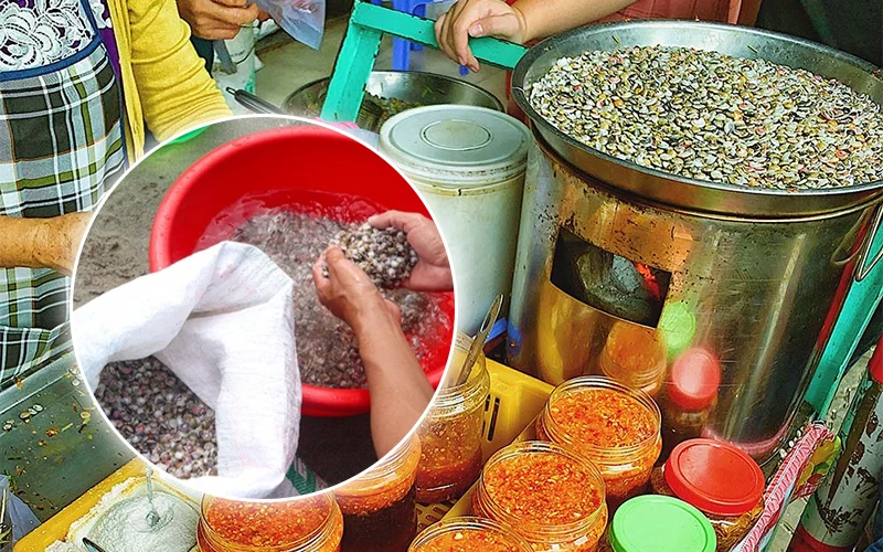 Quy Trình Chế Biến Ốc Lễ