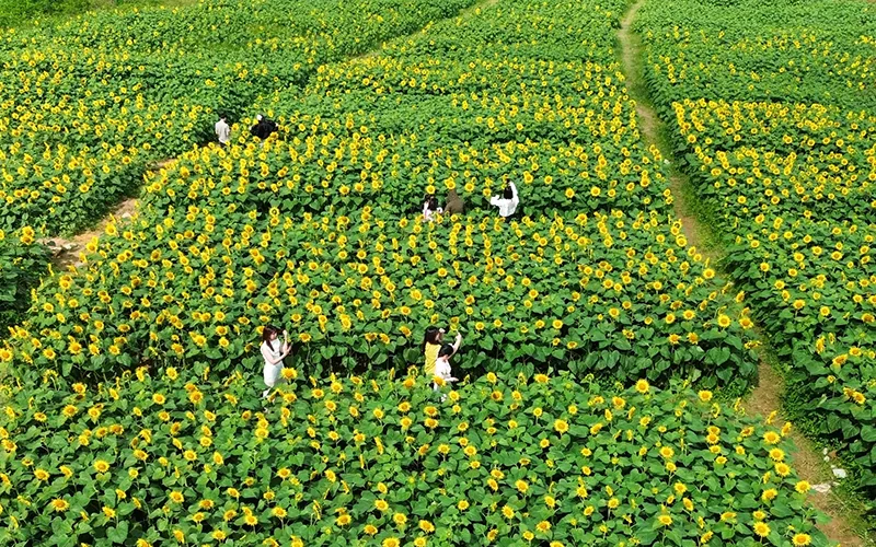 Địa điểm lý tưởng cho những tín đồ check-in