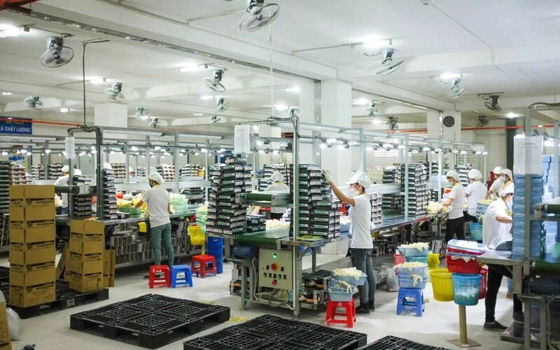 Định hướng phát triển và giải pháp cụ thể