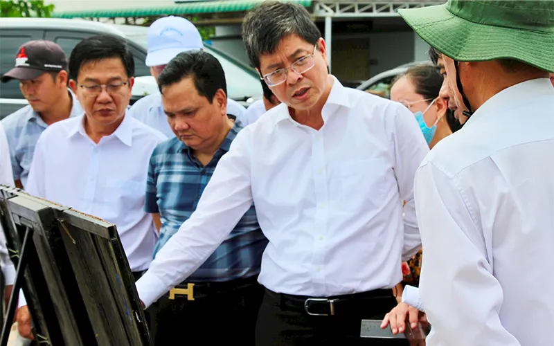 Nguyên Nhân Chủ Quan Gây Chậm Trễ