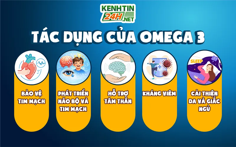 Những tác dụng của Omega 3 đối với sức khỏe