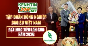 Tập đoàn Công nghiệp Cao su Việt Nam