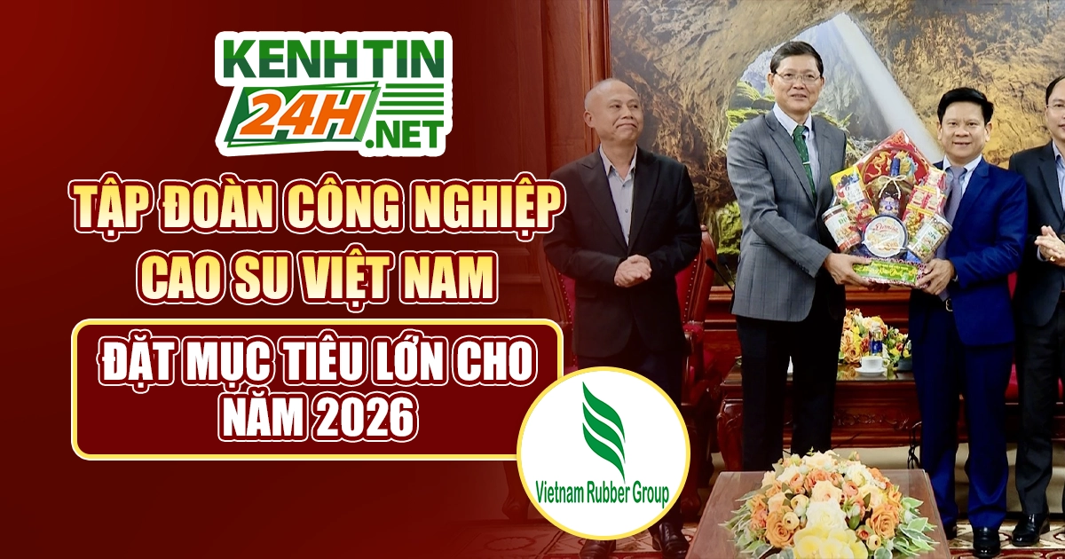 Tập đoàn Công nghiệp Cao su Việt Nam