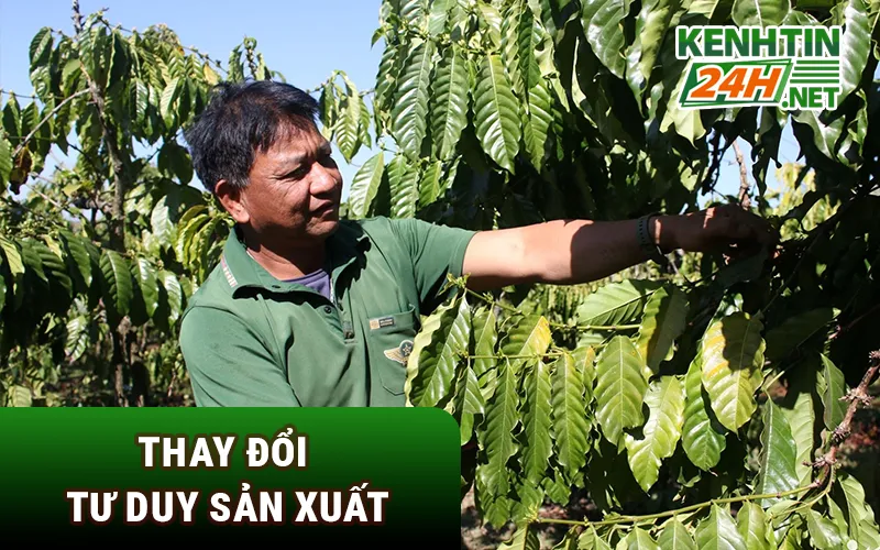 Thay đổi tư duy sản xuất