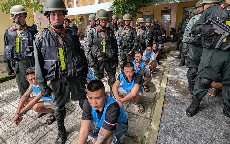 Tổ Chức và Hoạt Động Của Nhóm Tội Phạm