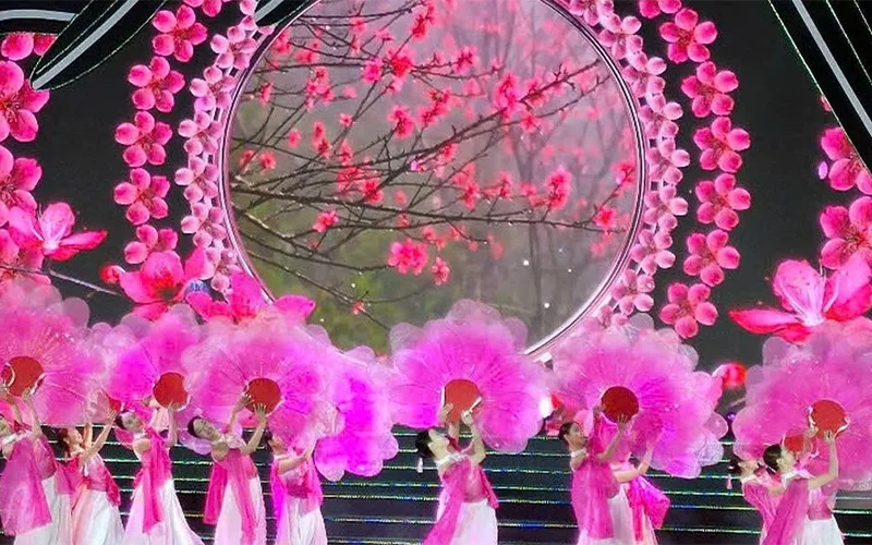 Chương trình đặc sắc và nhiều hoạt động hấp dẫn