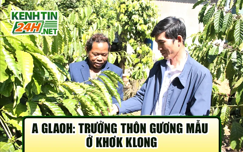 Đảng Viên Trẻ Bước Ra Từ Nền Tảng Cộng Đồng