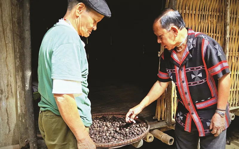 Hành trình đầy dấu ấn của B’ríu Thiện