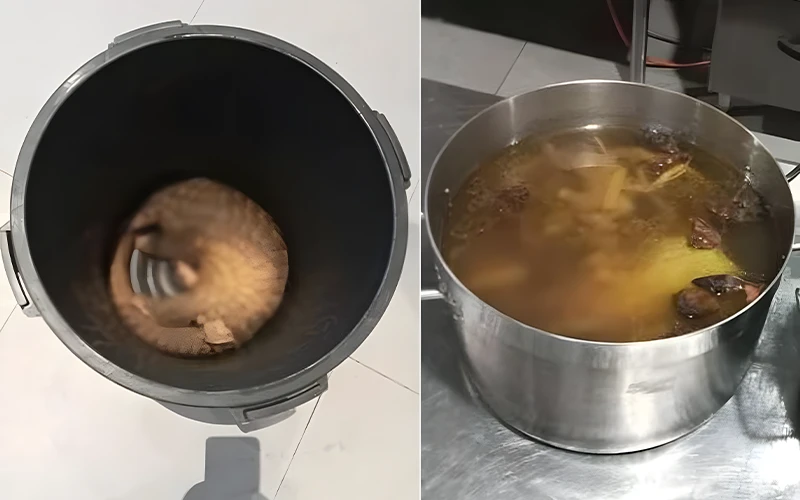 Phát hiện tại hiện trường