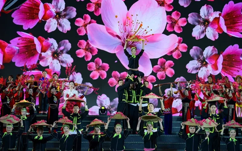 Các hoạt động phong phú tại lễ hội