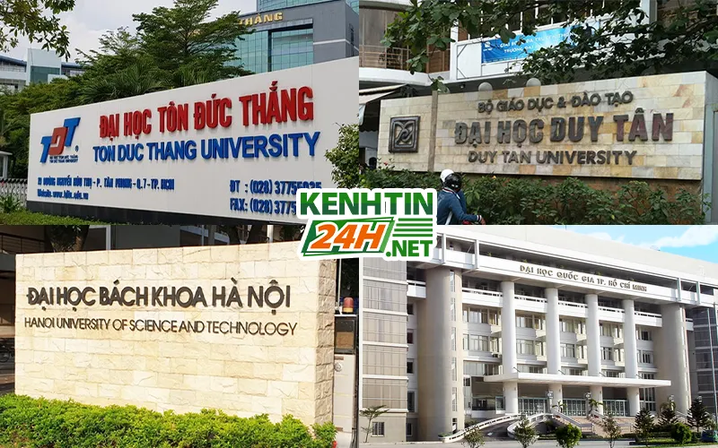 Tình hình tại Việt Nam