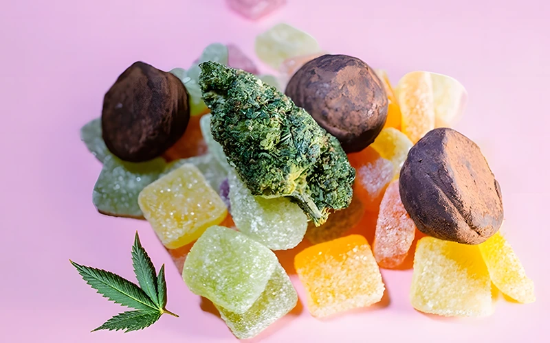 Tình Hình Hiện Tại và Tiến Trình Điều Tra