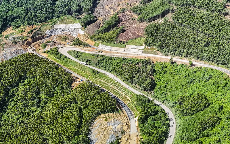 Đánh Giá Tiến Độ Mới Nhất