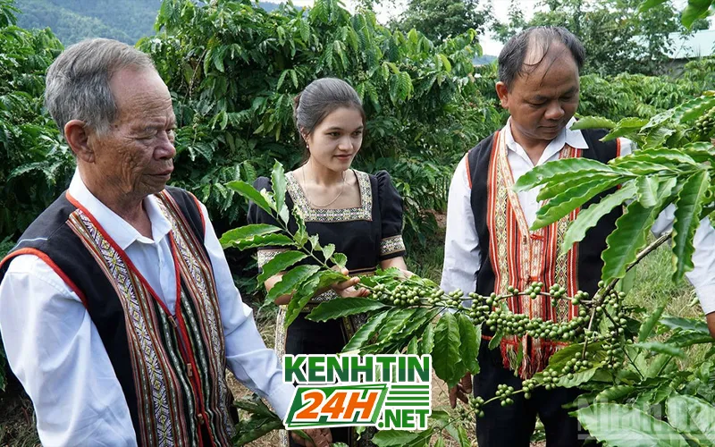 Ông Hồ Văn Tường