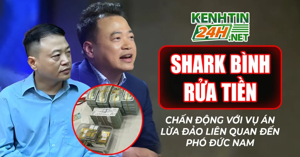 Shark Bình Rửa Tiền