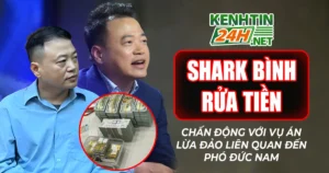 Shark Bình Rửa Tiền