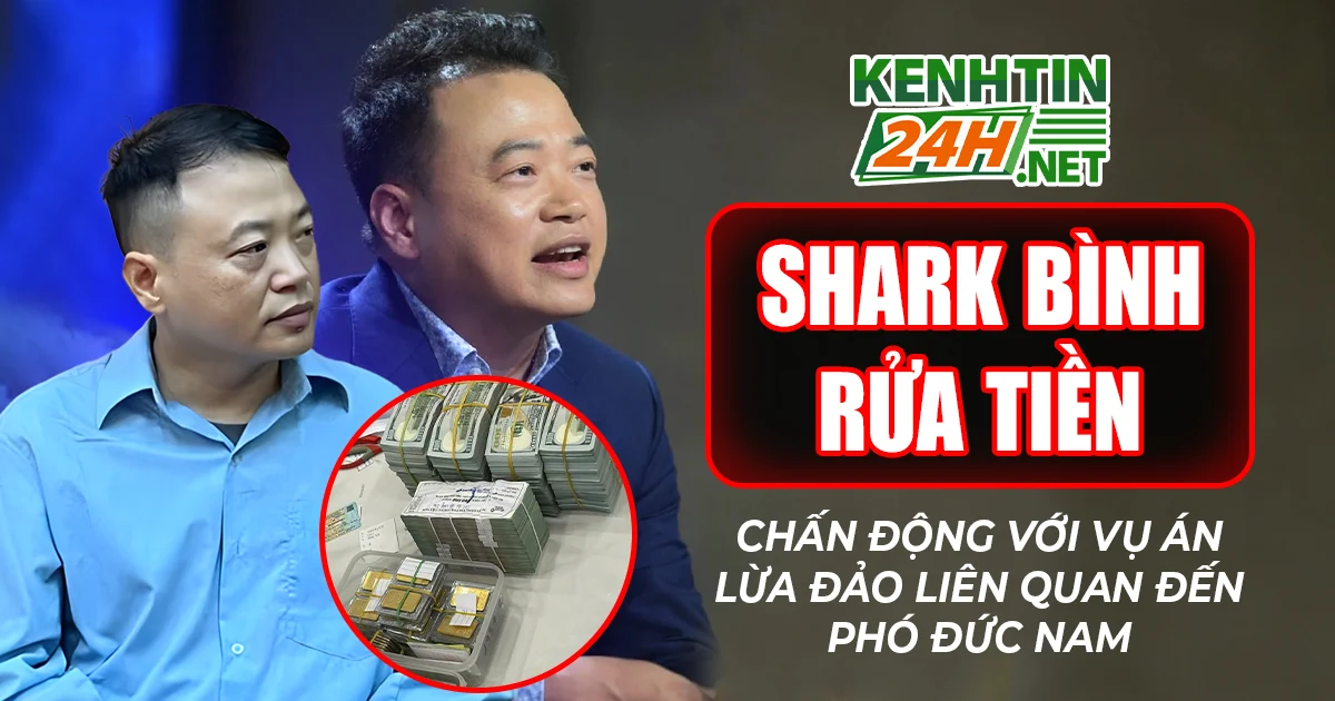 Shark Bình Rửa Tiền