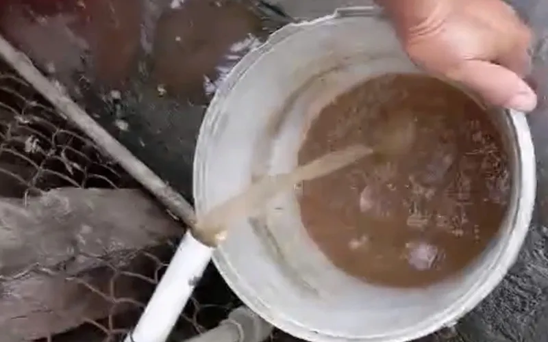 Tình trạng nước sinh hoạt bị đục