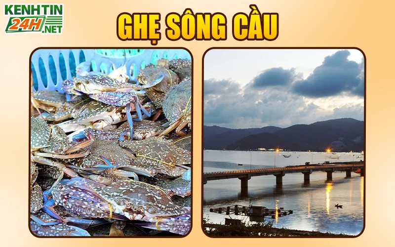 Ghẹ sông Cầu 