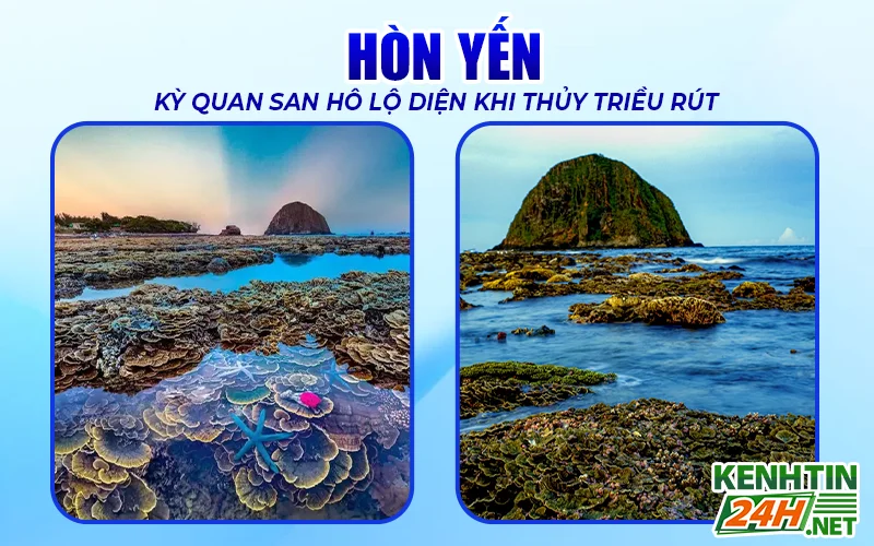 Hòn Yến - Kỳ quan san hô lộ diện khi thủy triều rút 