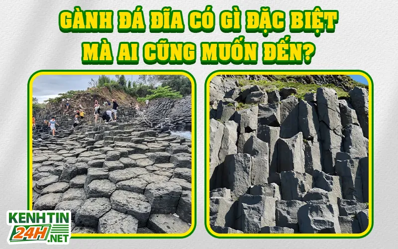 Gành Đá Đĩa có gì đặc biệt mà ai cũng muốn đến?  