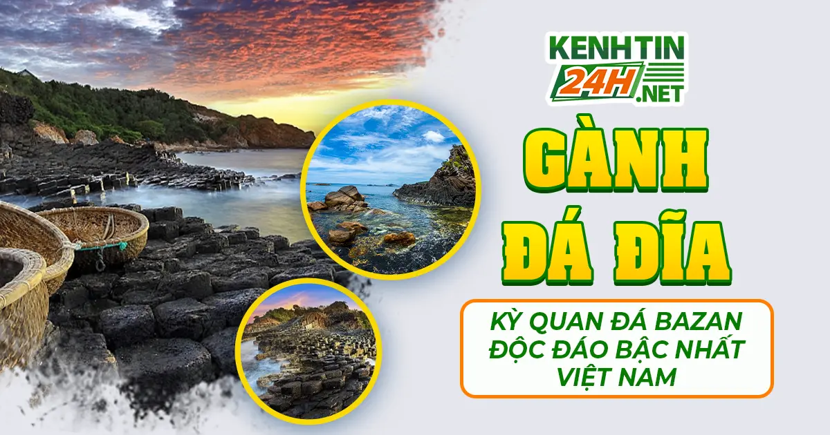 Gành Đá Đĩa - Kỳ Quan Đá Bazan Độc Đáo Bậc Nhất Việt Nam