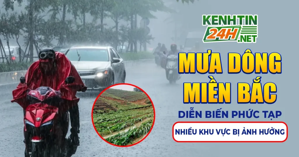 Mưa Dông Miền Bắc Diễn Biến Phức Tạp, Nhiều Khu Vực Bị Ảnh Hưởng