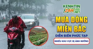 Mưa Dông Miền Bắc Diễn Biến Phức Tạp, Nhiều Khu Vực Bị Ảnh Hưởng