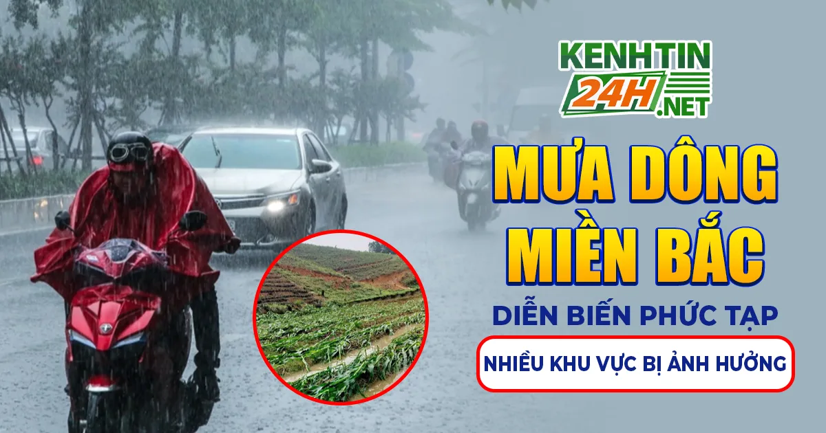 Mưa Dông Miền Bắc Diễn Biến Phức Tạp, Nhiều Khu Vực Bị Ảnh Hưởng