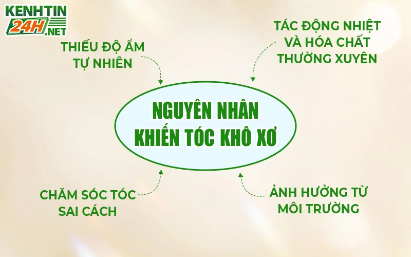 Nguyên nhân khiến tóc khô xơ