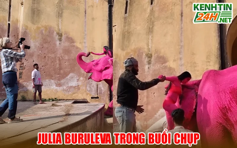 Phản hồi từ nhiếp ảnh gia