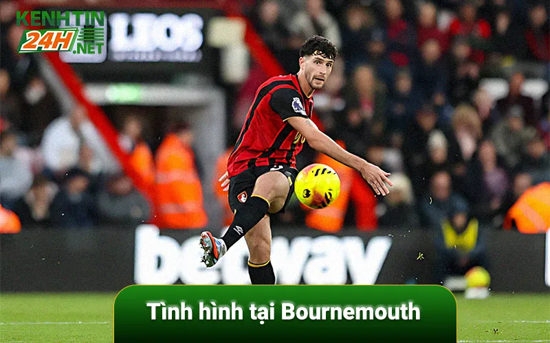 Tình hình tại Bournemouth
