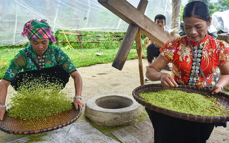 Tương Lai Của Những Bản Làng Truyền Thống
