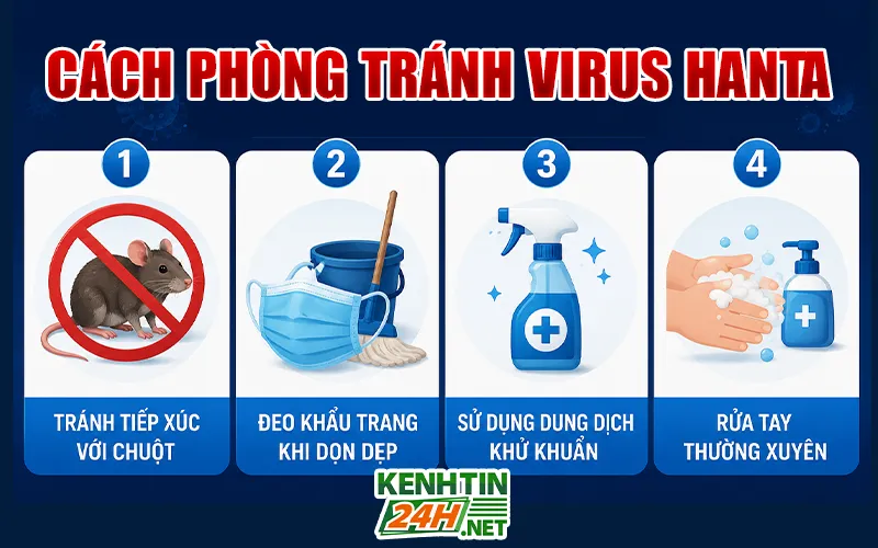 Cách phòng tránh virus Hanta