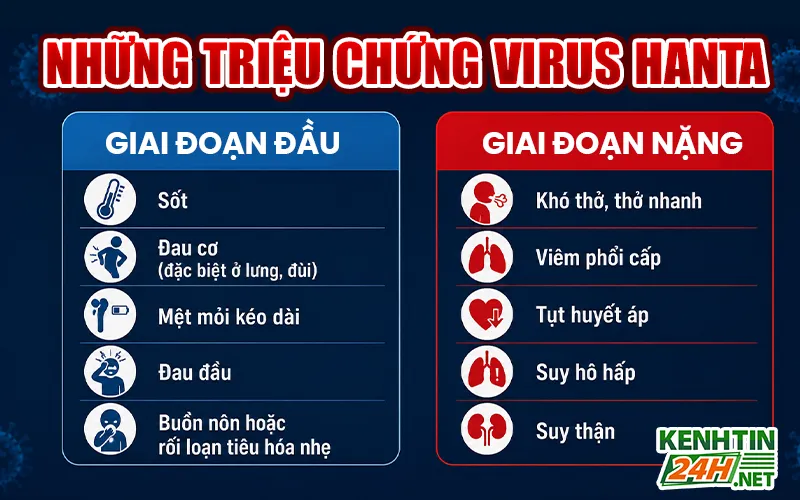 Những triệu chứng virus Hanta nguy hiểm