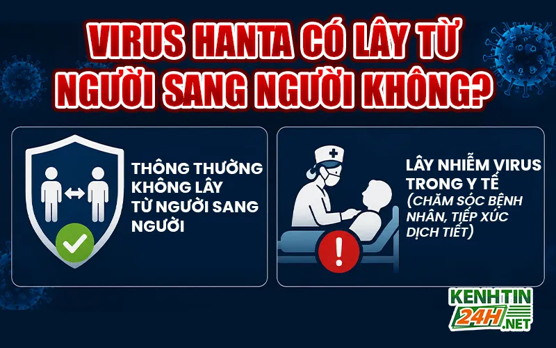 Virus Hanta có lây từ người sang người không?
